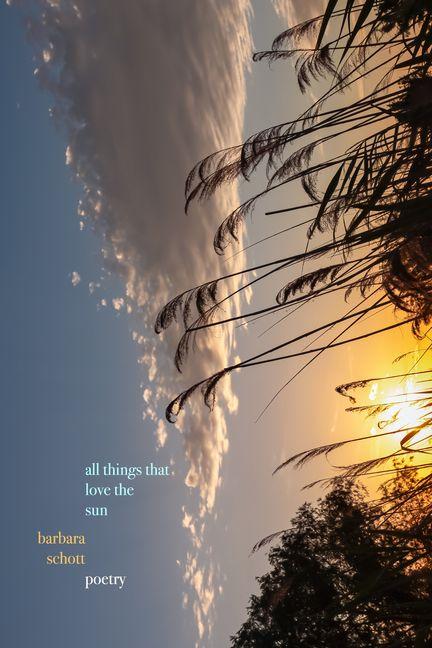 All Things That Love the Sun