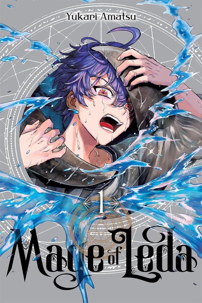 Mage of Leda Vol. 1
