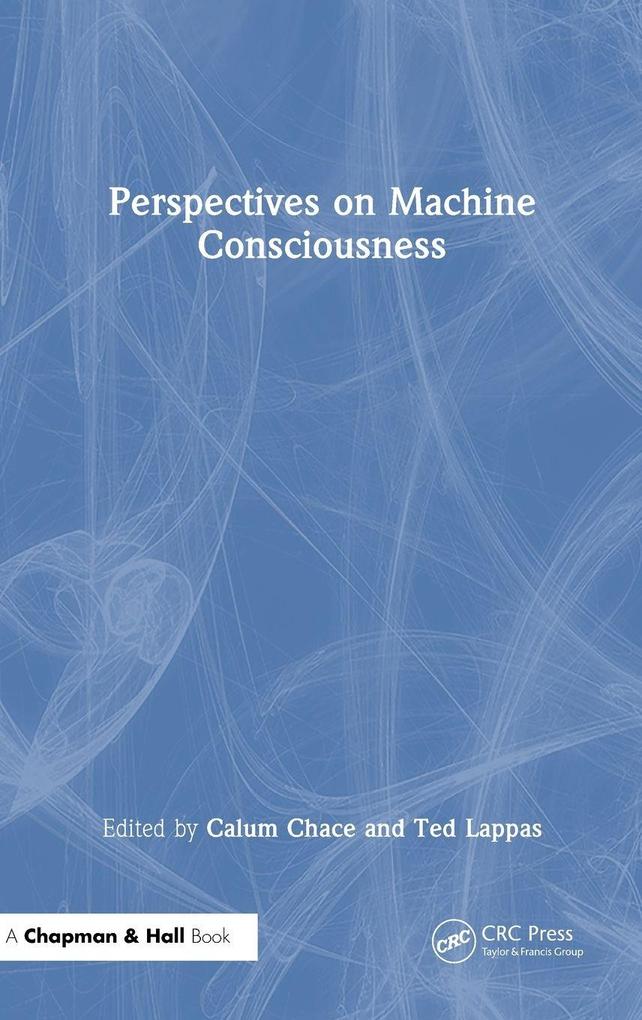 Perspectives on Machine Consciousness