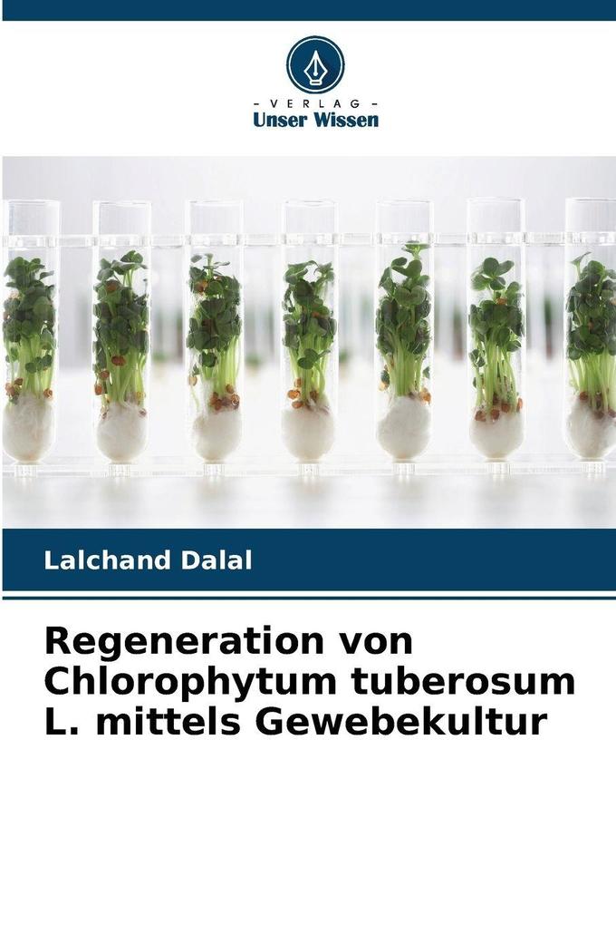 Regeneration von Chlorophytum tuberosum L. mittels Gewebekultur