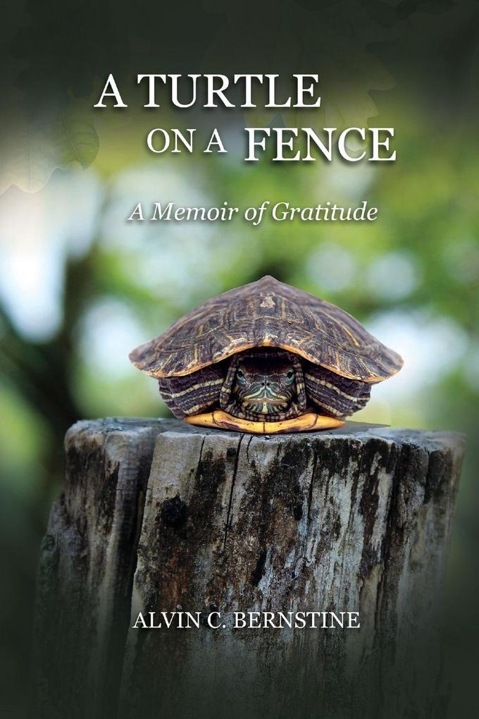 A Turtle on a Fence