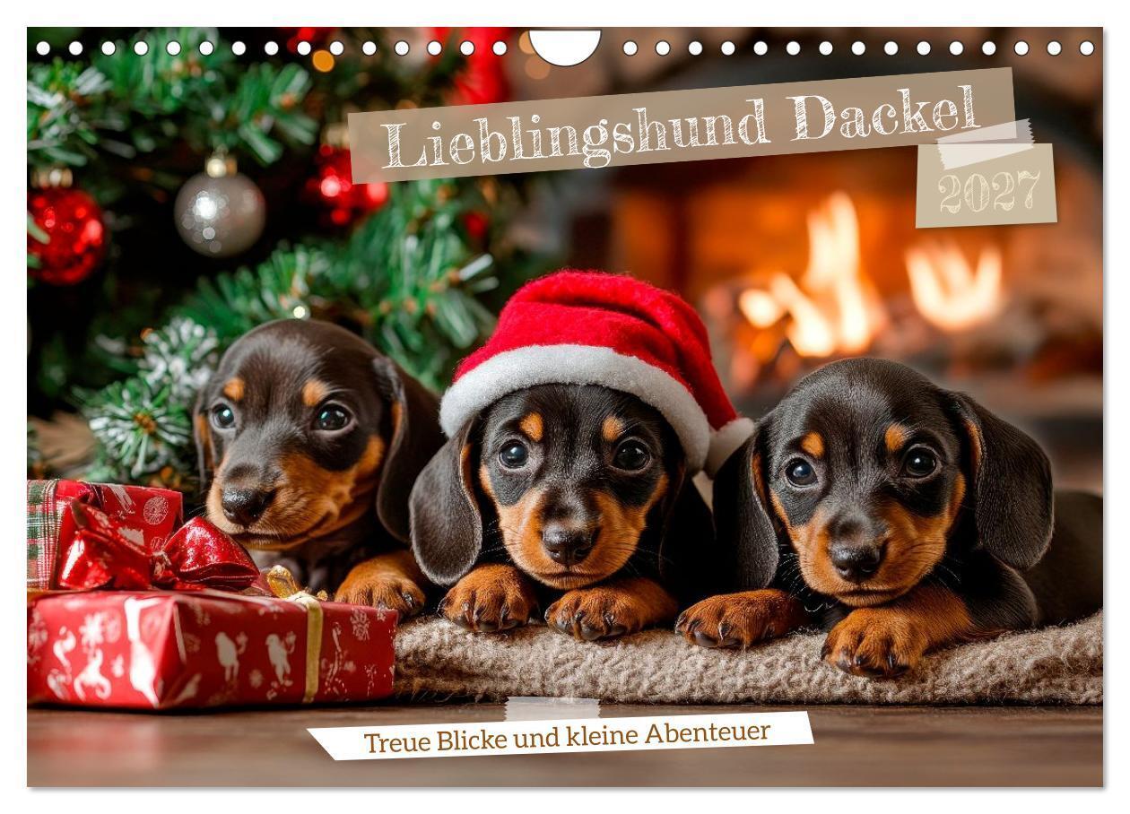 Lieblingshund Dackel (Wandkalender 2027 DIN A4 quer) CALVENDO Monatskalender