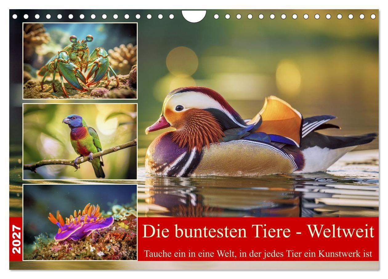 Die buntesten Tiere - Weltweit (Wandkalender 2027 DIN A4 quer) CALVENDO Monatskalender