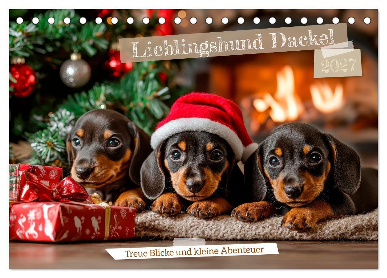 Lieblingshund Dackel (Tischkalender 2027 DIN A5 quer) CALVENDO Monatskalender