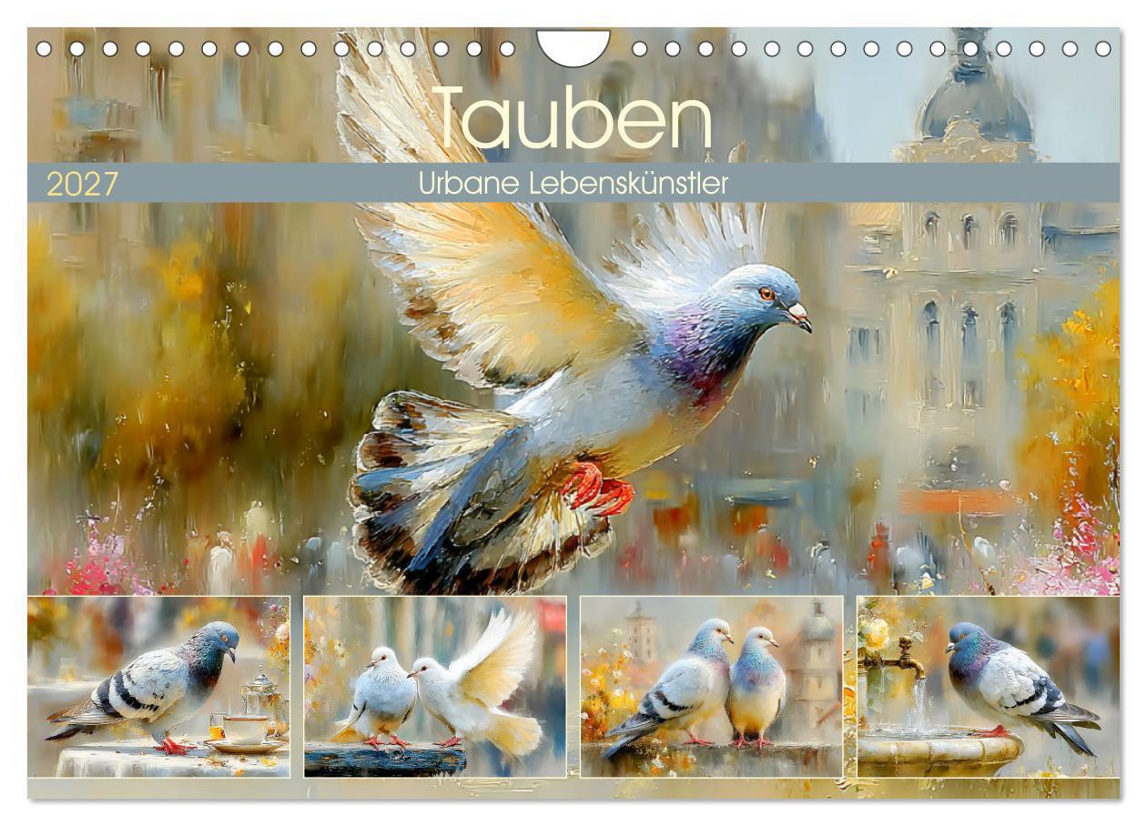 Tauben. Urbane Lebenskünstler (Wandkalender 2027 DIN A4 quer) CALVENDO Monatskalender