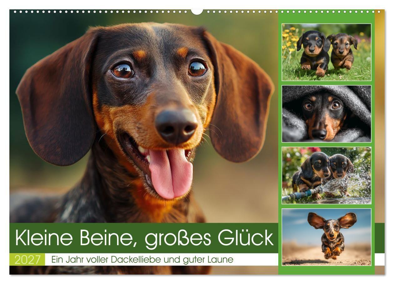 Kleine Beine großes Glück (Wandkalender 2027 DIN A2 quer) CALVENDO Monatskalender