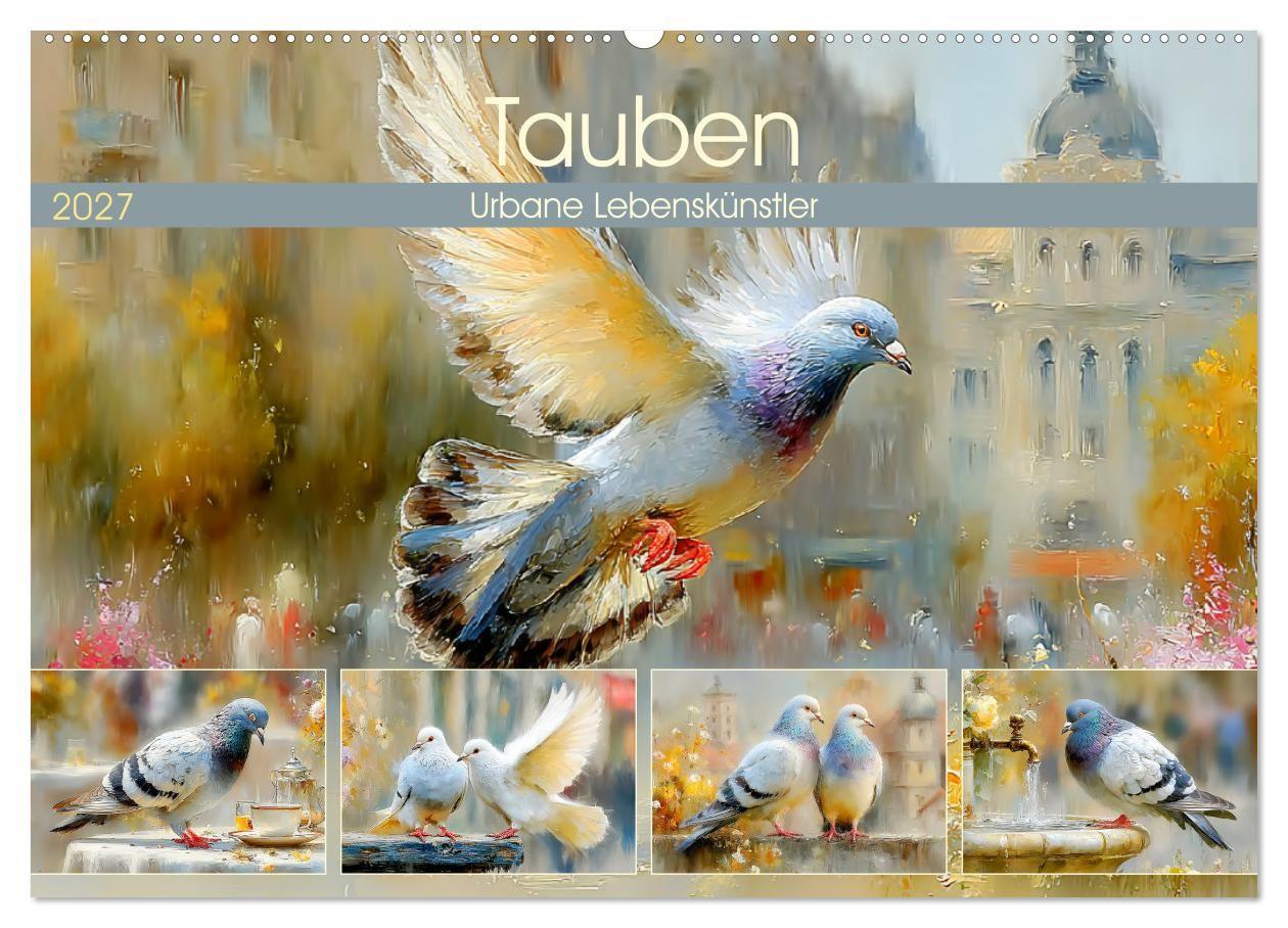 Tauben. Urbane Lebenskünstler (Wandkalender 2027 DIN A2 quer) CALVENDO Monatskalender