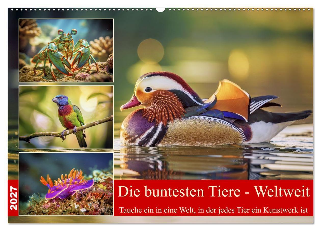 Die buntesten Tiere - Weltweit (Wandkalender 2027 DIN A2 quer) CALVENDO Monatskalender