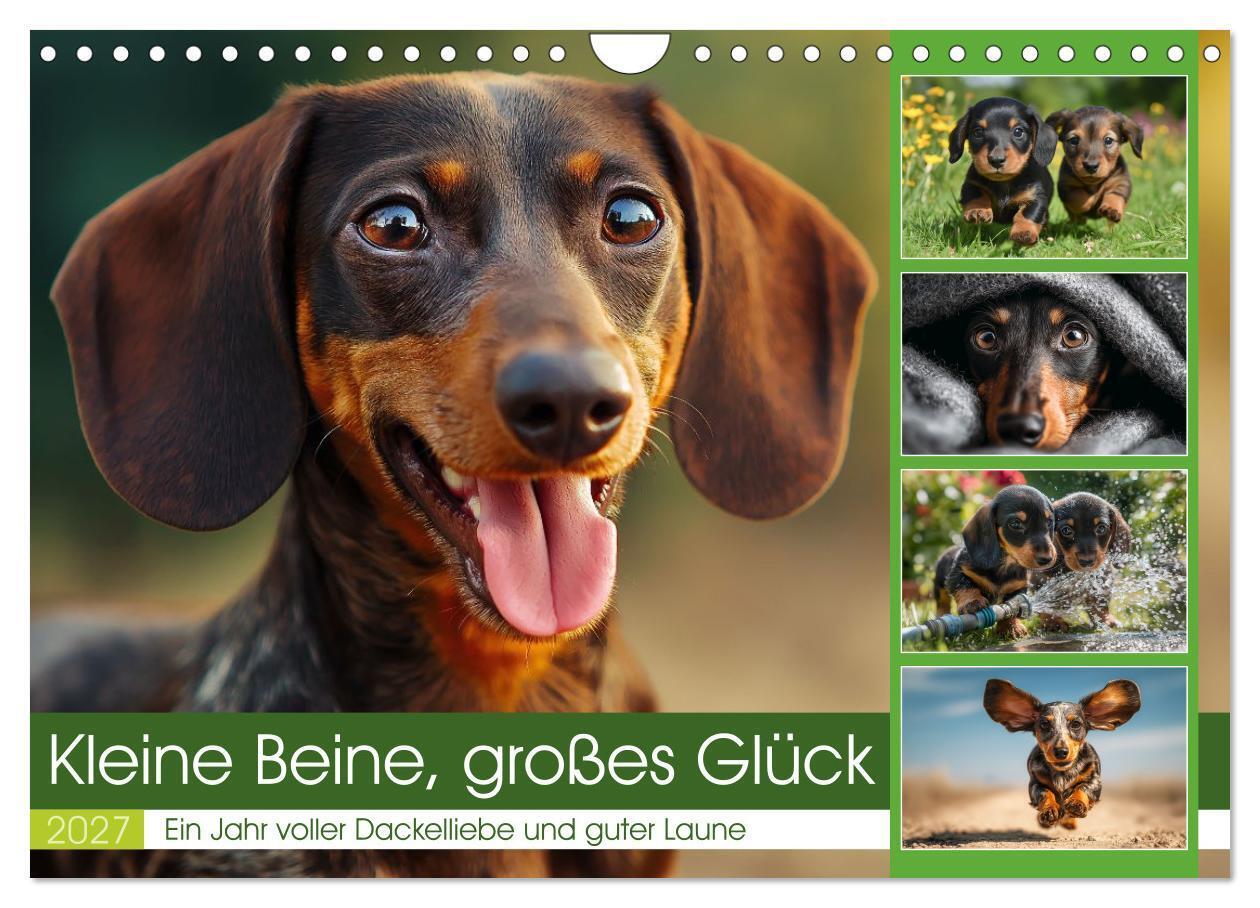 Kleine Beine großes Glück (Wandkalender 2027 DIN A4 quer) CALVENDO Monatskalender