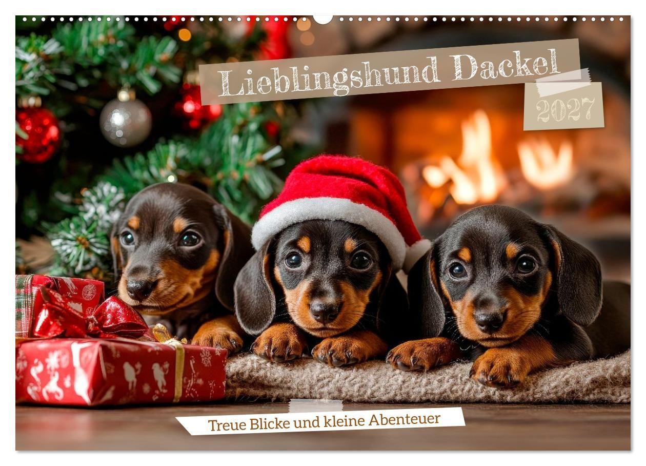 Lieblingshund Dackel (Wandkalender 2027 DIN A2 quer) CALVENDO Monatskalender