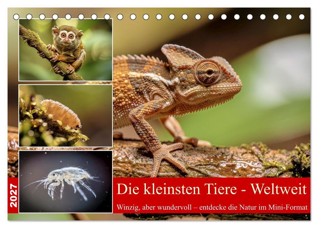 Die kleinsten Tiere - Weltweit (Tischkalender 2027 DIN A5 quer) CALVENDO Monatskalender