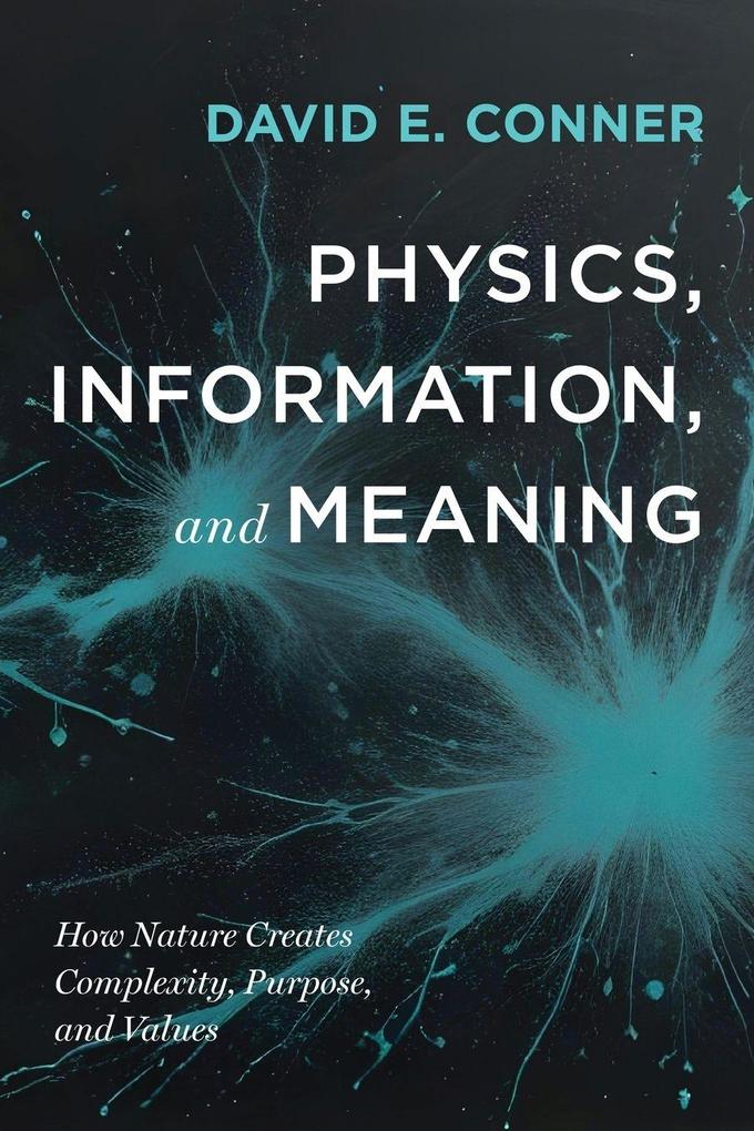 Physics Information and Meaning