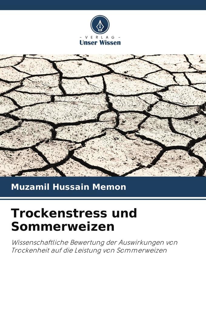 Trockenstress und Sommerweizen