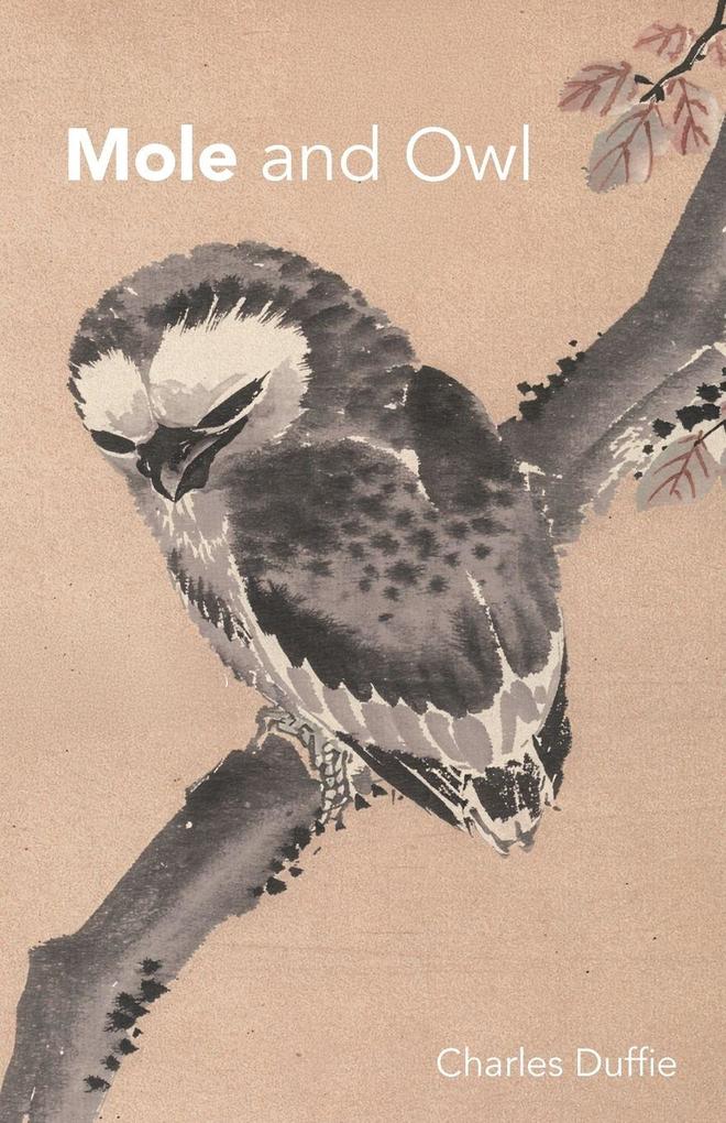 Mole and Owl