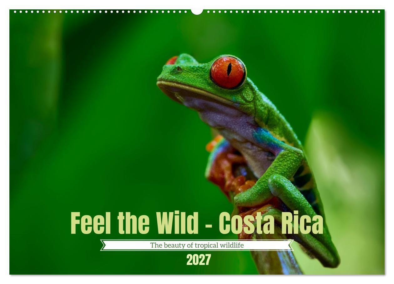 Feel the Wild - Costa Rica (Wall Calendar 2027 DIN A2 landscape) CALVENDO 12 Month Wall Calendar