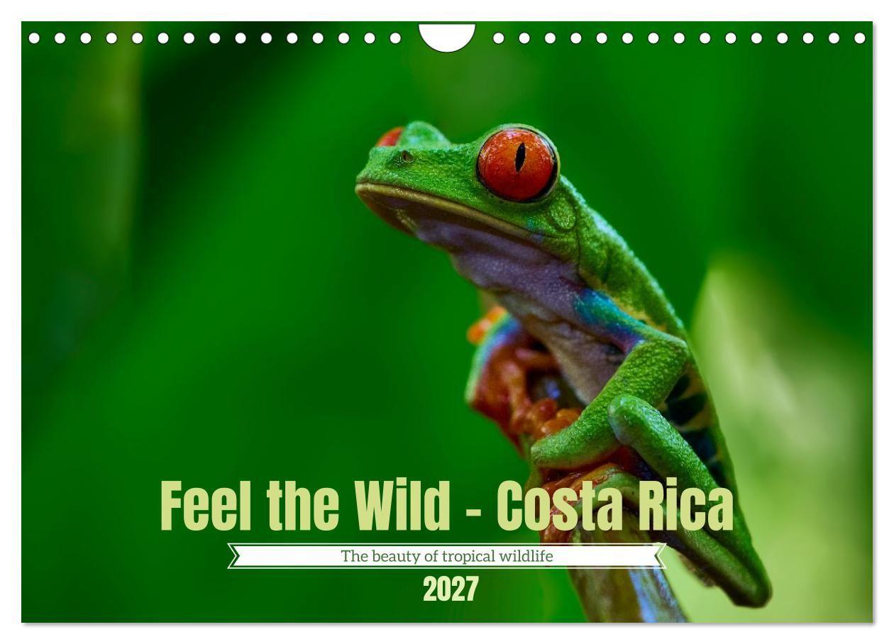 Feel the Wild - Costa Rica (Wall Calendar 2027 DIN A4 landscape) CALVENDO 12 Month Wall Calendar
