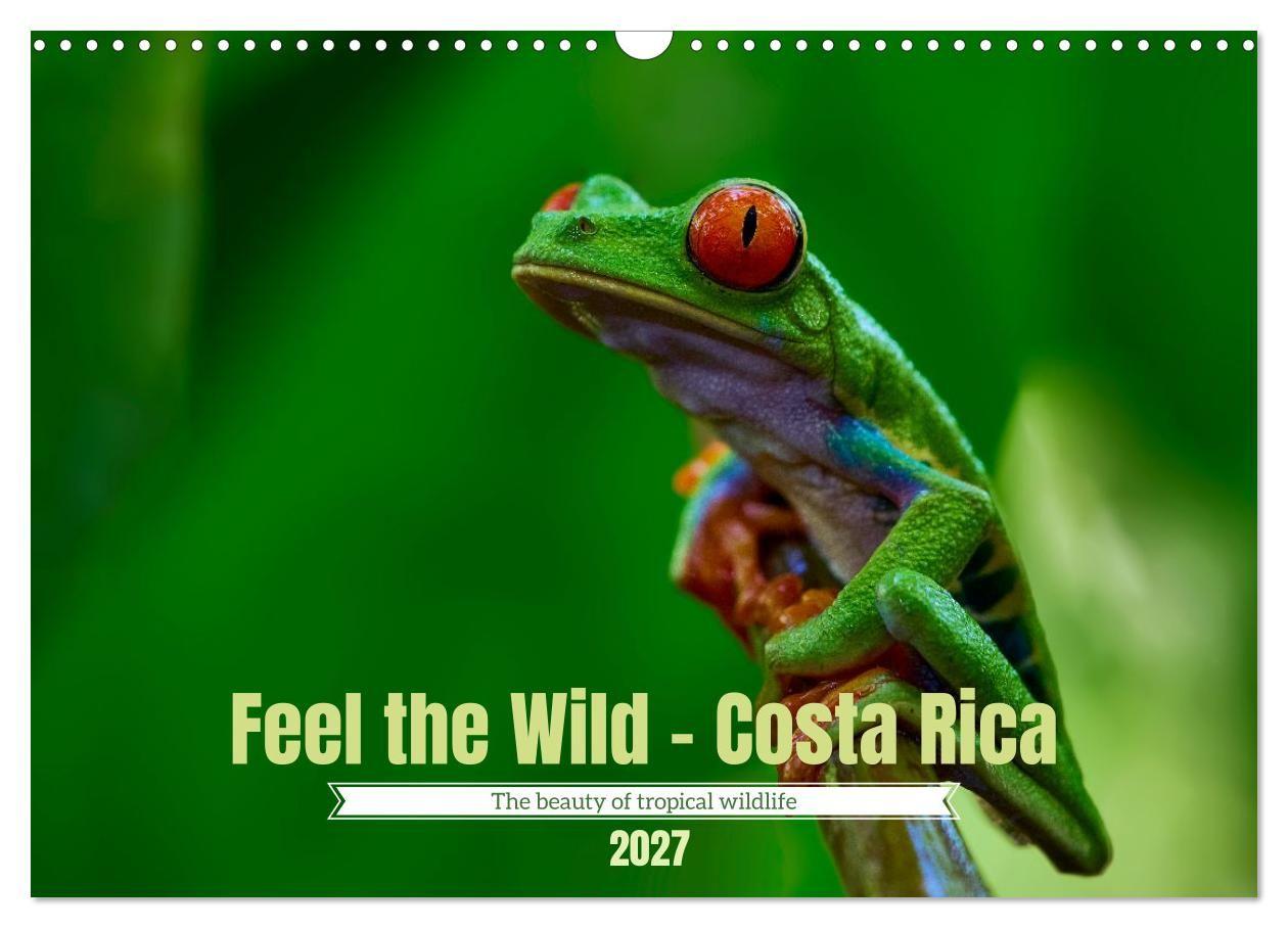 Feel the Wild - Costa Rica (Wall Calendar 2027 DIN A3 landscape) CALVENDO 12 Month Wall Calendar