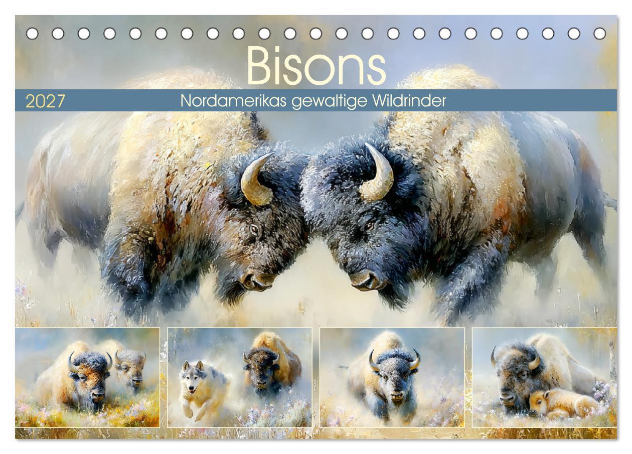 Bisons. Nordamerikas gewaltige Wildrinder (Tischkalender 2027 DIN A5 quer) CALVENDO Monatskalender