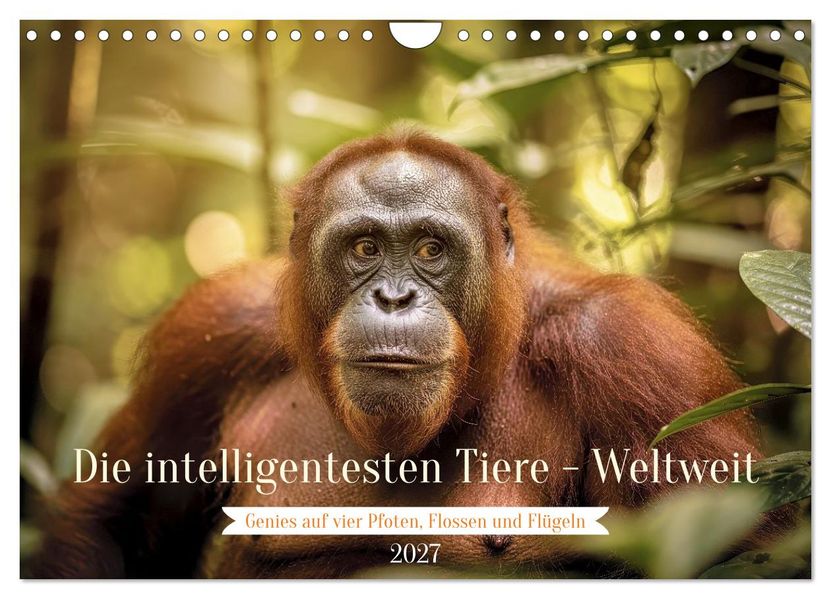 Die intelligentesten Tiere - Weltweit (Wandkalender 2027 DIN A4 quer) CALVENDO Monatskalender
