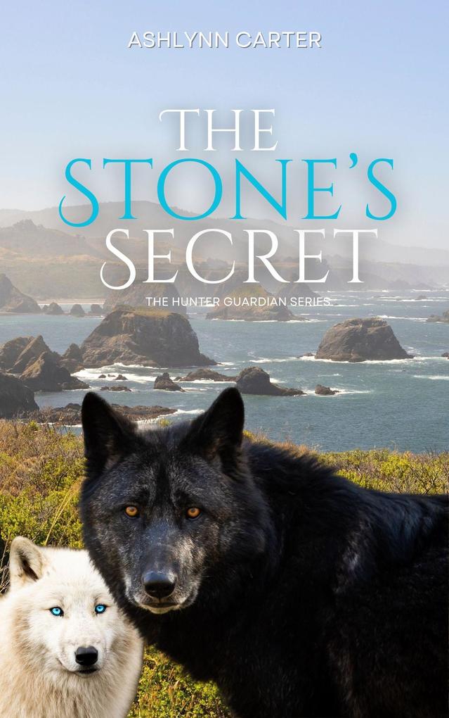 The Stone's Seceret (The Hunted Guardian Series #3)