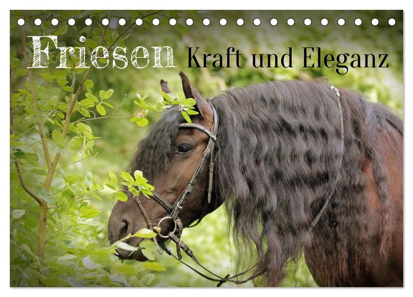 Friesen - Kraft und Eleganz (Tischkalender 2027 DIN A5 quer) CALVENDO Monatskalender