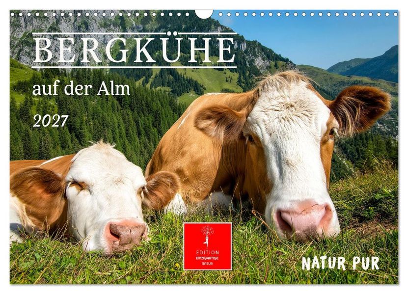Bergkühe auf der Alm - Natur pur (Wandkalender 2027 DIN A3 quer) CALVENDO Monatskalender