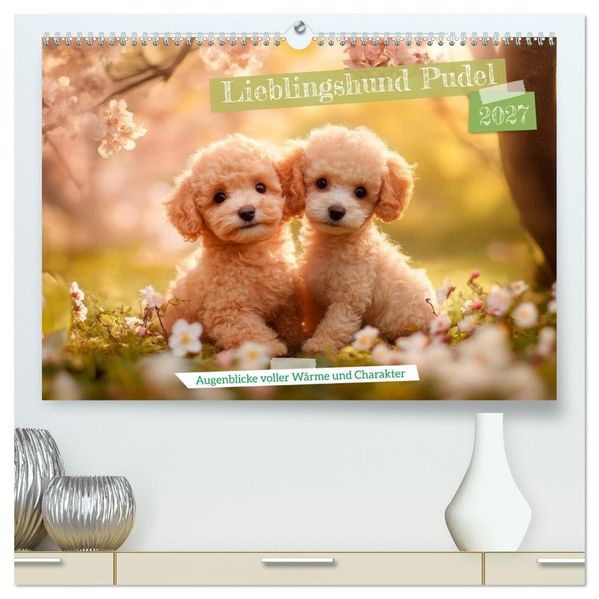 Lieblingshund Pudel (hochwertiger Premium Wandkalender 2027 DIN A2 quer) Kunstdruck in Hochglanz