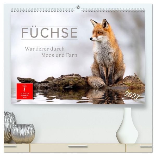 Füchse - Wanderer durch Moos und Farn (hochwertiger Premium Wandkalender 2027 DIN A2 quer) Kunstdruck in Hochglanz