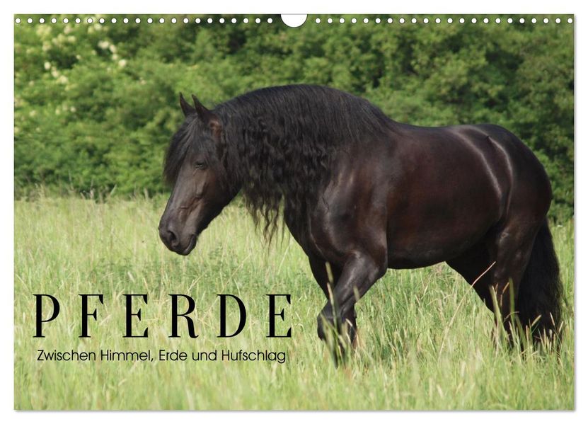 PFERDE - Zwischen Himmel Erde und Hufschlag (Wandkalender 2027 DIN A3 quer) CALVENDO Monatskalender