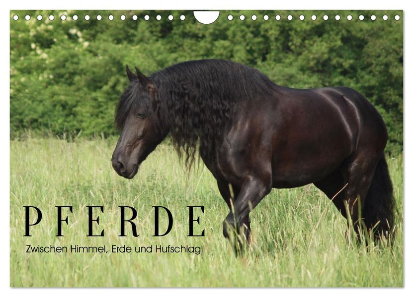PFERDE - Zwischen Himmel Erde und Hufschlag (Wandkalender 2027 DIN A4 quer) CALVENDO Monatskalender