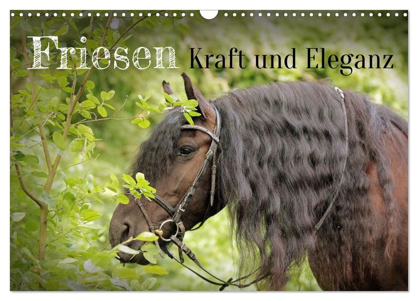 Friesen - Kraft und Eleganz (Wandkalender 2027 DIN A3 quer) CALVENDO Monatskalender