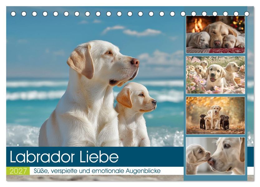 Labrador Liebe (Tischkalender 2027 DIN A5 quer) CALVENDO Monatskalender