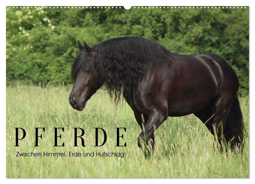PFERDE - Zwischen Himmel Erde und Hufschlag (Wandkalender 2027 DIN A2 quer) CALVENDO Monatskalender