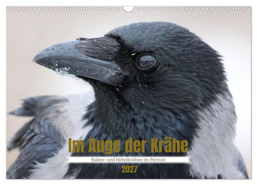 Im Auge der Krähe (Wandkalender 2027 DIN A3 quer) CALVENDO Monatskalender