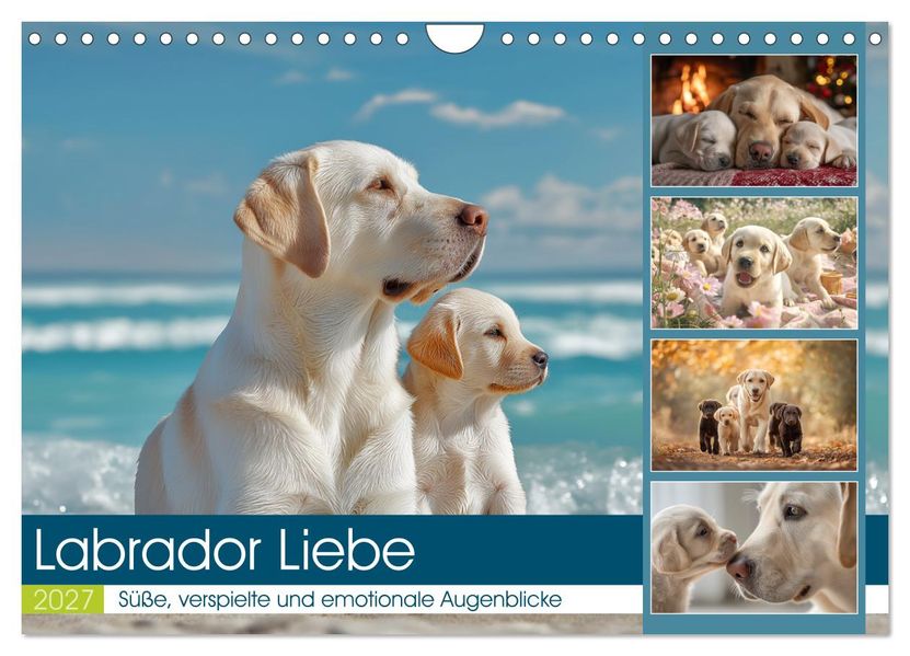 Labrador Liebe (Wandkalender 2027 DIN A4 quer) CALVENDO Monatskalender