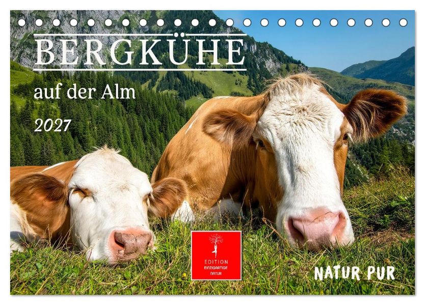 Bergkühe auf der Alm - Natur pur (Tischkalender 2027 DIN A5 quer) CALVENDO Monatskalender