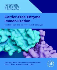 Carrier-Free Enzyme Immobilization