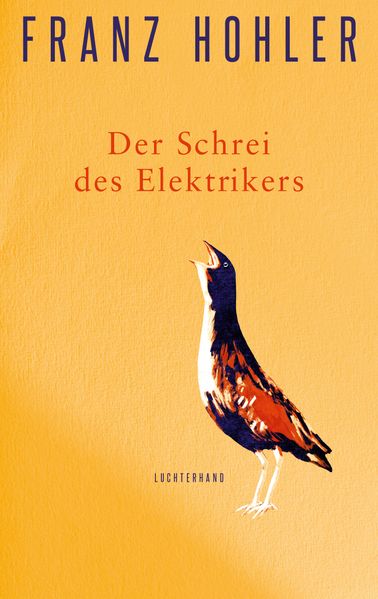 Der Schrei des Elektrikers