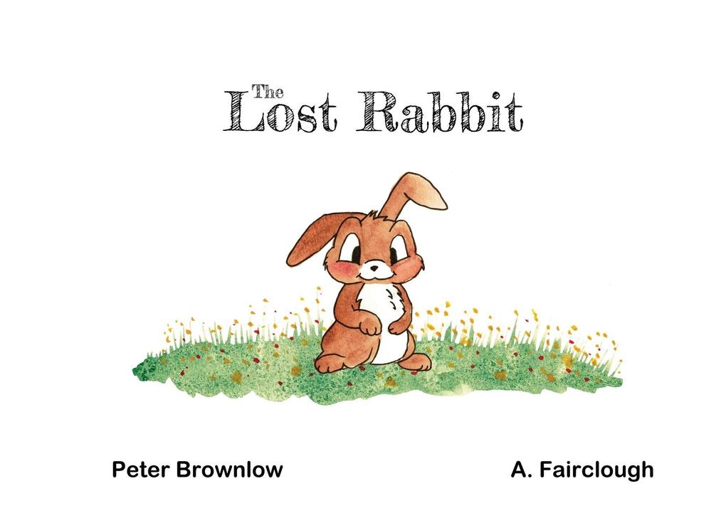 The Lost Rabbit
