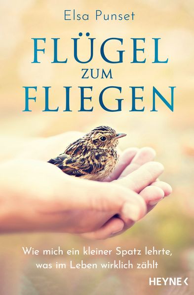 Flügel zum Fliegen
