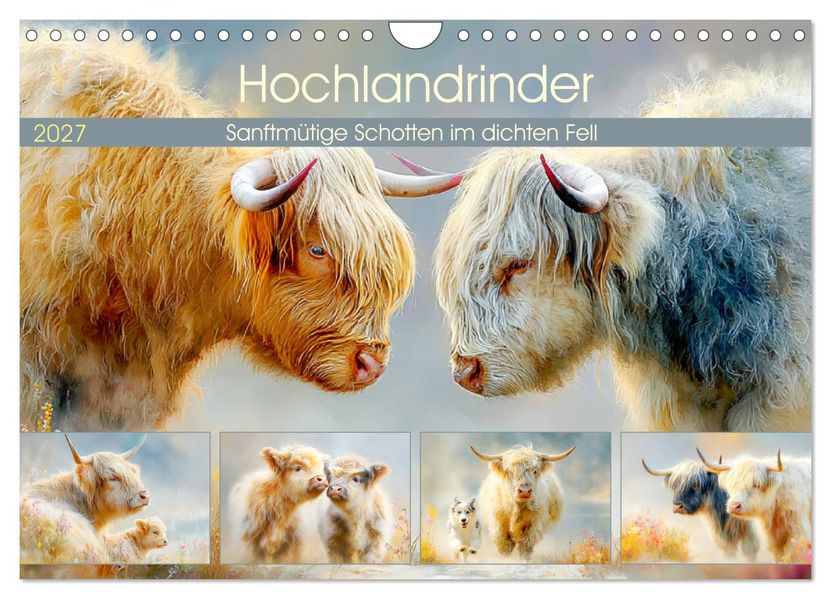 Hochlandrinder. Sanftmütige Schotten im dichten Fell (Wandkalender 2027 DIN A4 quer) CALVENDO Monatskalender