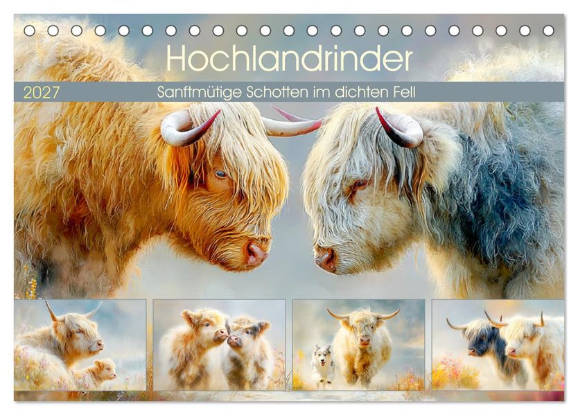 Hochlandrinder. Sanftmütige Schotten im dichten Fell (Tischkalender 2027 DIN A5 quer) CALVENDO Monatskalender