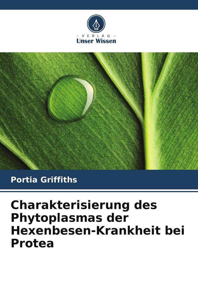 Charakterisierung des Phytoplasmas der Hexenbesen-Krankheit bei Protea