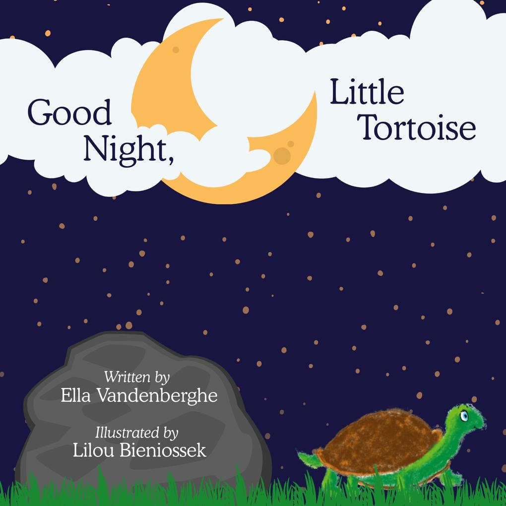 Good Night Little Tortoise