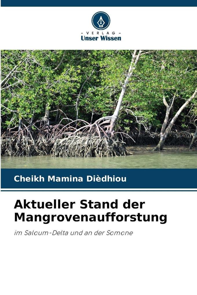 Aktueller Stand der Mangrovenaufforstung