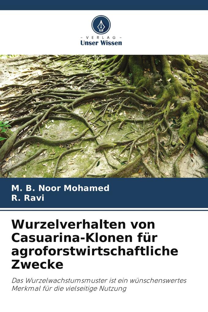 Wurzelverhalten von Casuarina-Klonen für agroforstwirtschaftliche Zwecke
