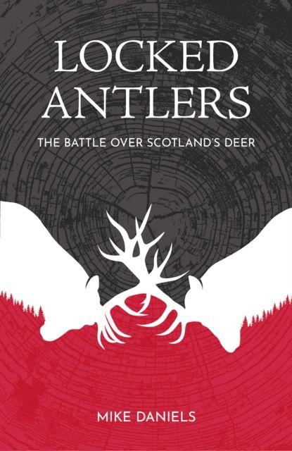 Locked Antlers