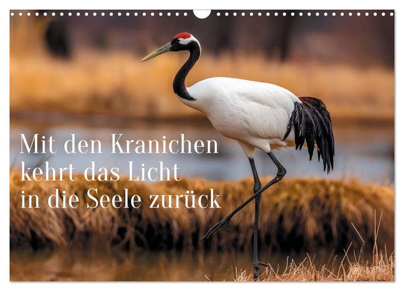 Mit den Kranichen kehrt das Licht in die Seele zurück (Wandkalender 2027 DIN A3 quer) CALVENDO Monatskalender