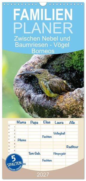 Familienplaner 2027 - Zwischen Nebel und Baumriesen - Vögel Borneos mit 5 Spalten (Wandkalender 21 x 45 cm) CALVENDO
