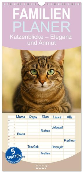 Familienplaner 2027 - Katzenblicke - Eleganz und Anmut mit 5 Spalten (Wandkalender 21 x 45 cm) CALVENDO
